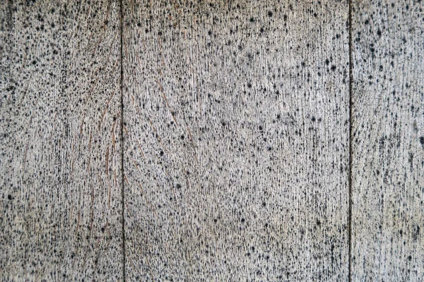 Weathered Wood Texture Bakgrund — Stockfoto