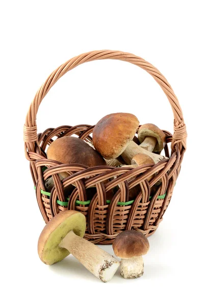 Korb mit frischen Penny-Brötchen-Pilzen auf weißem isolierten Backgro — Stockfoto