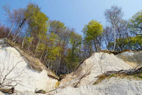 Κιμωλία βράχο του Νήσος Ρούγκεν (Γερμανία) για την άνοιξη. — Φωτογραφία Αρχείου