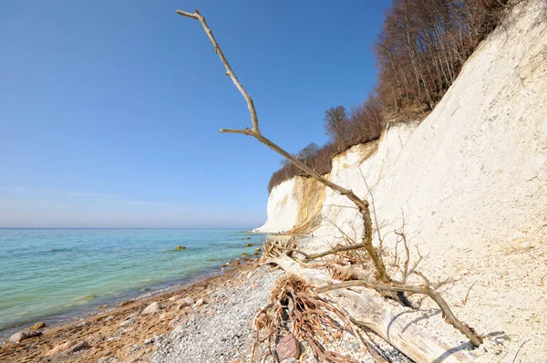 Mészkő szikla szikla a Rügen-sziget (Németország), tavasszal. — Stock Fotó