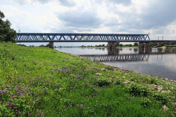 Ponte ferroviario sul fiume Elba e i suoi prati tipici in summe — Foto Stock