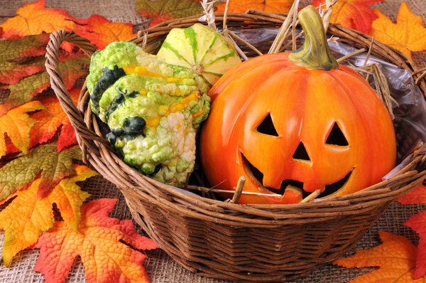 basket of autumn decoration mini pumpkins