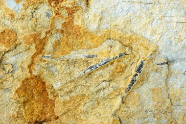 tam kare taş arka plan