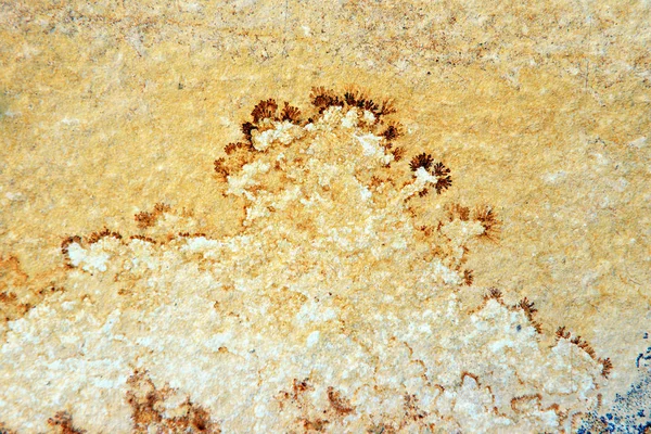 Minéraux de dendrite sur roches calcaires de Solnhofen — Photo