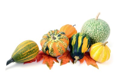 Mini kabaklar izole beyaz zemin üzerinde. Cadılar Bayramı.