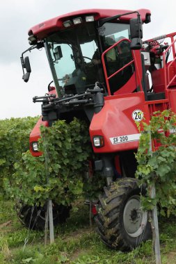 Almanya 'daki Mosel nehrinde bir üzüm bağında şarap hasat. Mekanik