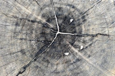 Plaj kum ile yıpranmış eski ahşap dilimleri