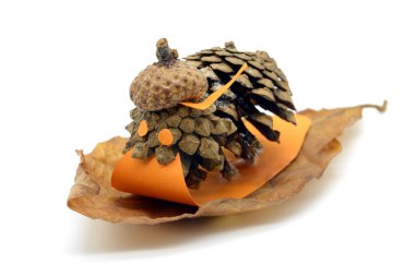 küçük salyangoz şekil çam koni ve meşe palamudu ile parçalarından tamircilik