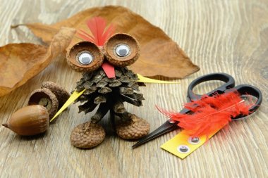 bir baykuş çam koni meşe ile tamircilik