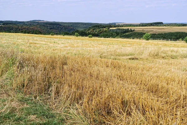 Paysage de vallée du pont suspendu simple Geierlay, à côté de v — Photo