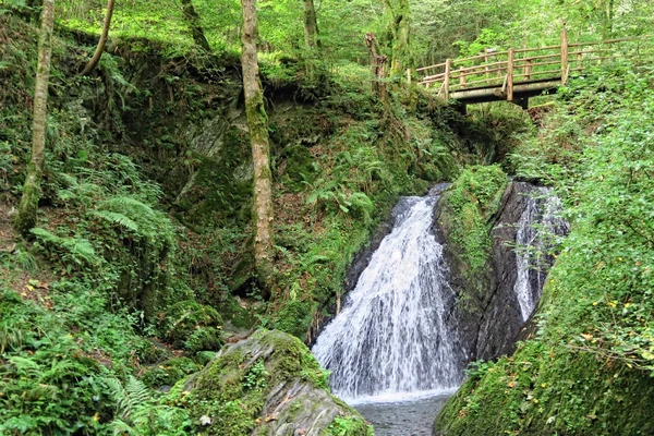 Cachoeira o swoosh selvagem no vale selvagem de Endertal em eifel regio — Fotografia de Stock