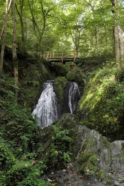 Cachoeira o swoosh selvagem no vale selvagem de Endertal em eifel regio — Fotografia de Stock