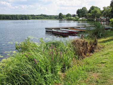 Lychen in Uckermark region (Germany) with its town lake. summer  clipart