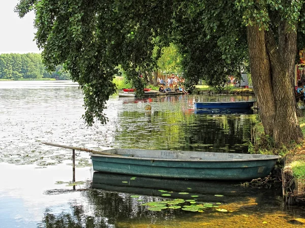 Lychen 在个地区 (德国) 与它的镇湖。夏天 — 图库照片
