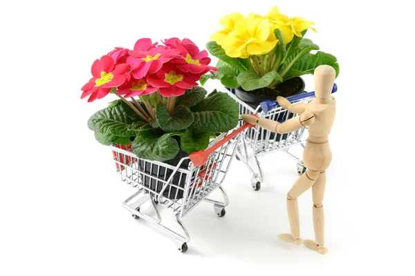 Figura de madera que lleva la onagra maceta rosa en un carrito de compras a — Foto de Stock