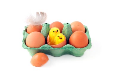 iki tavuk ve tüy ile bej doğal yumurta kutusu