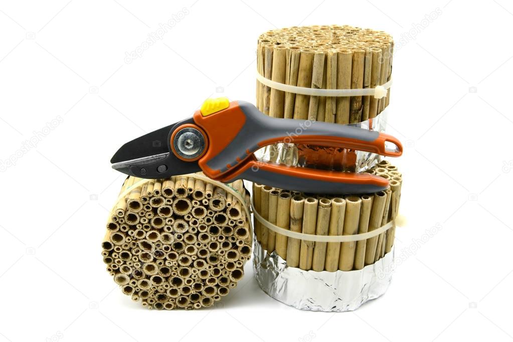 building an insect hotel with reed and bamboo sticks on white is