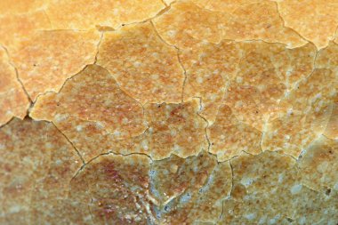 tam çerçeve arka plan doku Alman ekmek rulo