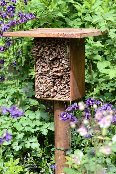 insect hotel for wild bees and other insects. made of wood and b