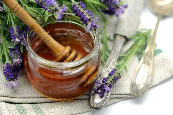Lavender honey in a glass with flower pot of Lavandula stoechas
