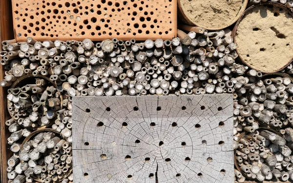 Ağaç Gövdesi Tuğla Taşı Bambu Çubuklarından Yapılmış Böcek Otelindeki Yabani — Stok fotoğraf