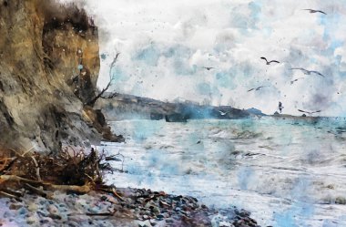 Almanya Darss yarımadasındaki Ahrenshop köyündeki Baltık Uçurumunun dijital çizimi. Fırtınalı hava. Gökteki martılar. Su rengi