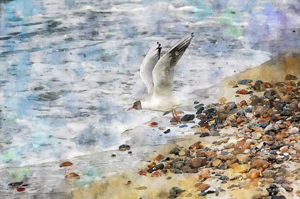 Цифровая Иллюстрация Пролетающей Над Балтийскими Морскими Волнами Чайки Поисках Пищи — стоковое фото