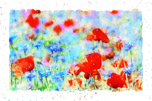 Watercolor Painting Poppy Flower Corn Flower Blossom Summer Time Frame — Stock Photo, Image