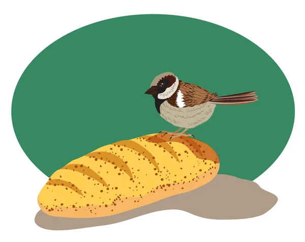 Sparrow on a bun color — Stockový vektor