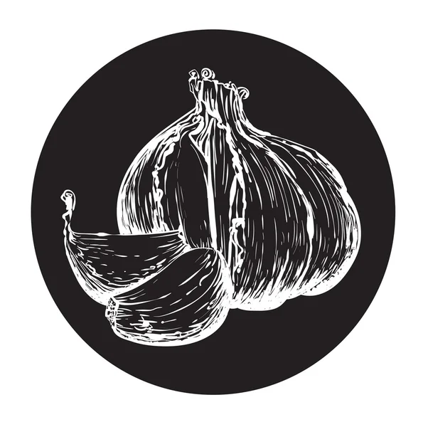 Garlic in a circle monochrome — Διανυσματικό Αρχείο