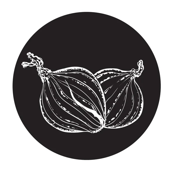Onions in a circle monochrome — Διανυσματικό Αρχείο