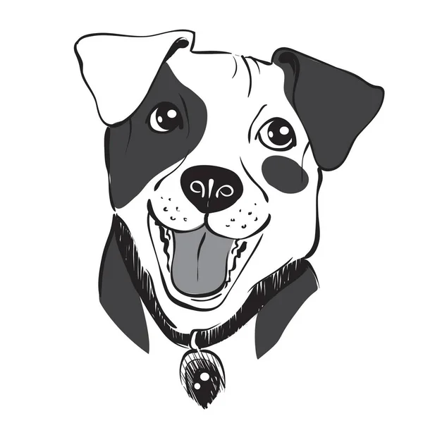 Portret van een kleine hond — Stockvector
