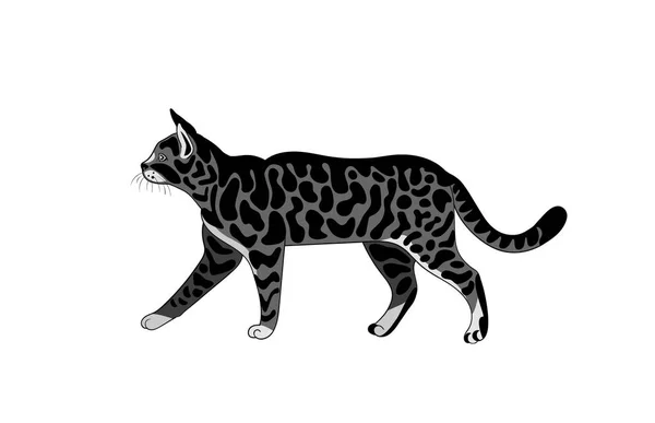 Disegno di gatti maculati in movimento — Vettoriale Stock