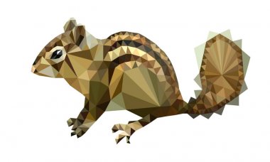 Sincap oturan resim çokgen şekli