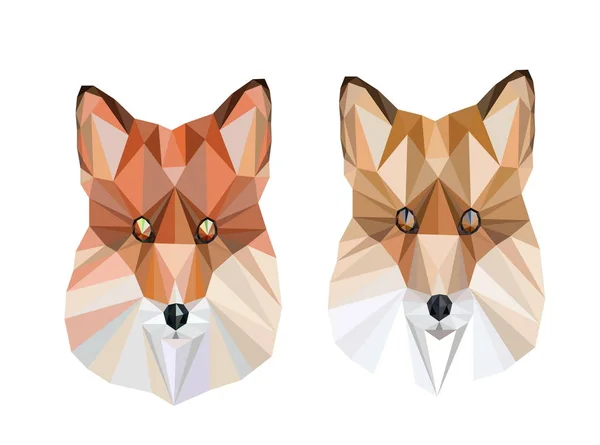 Polygon Bild zweifarbigen Fuchskopf — Stockvektor