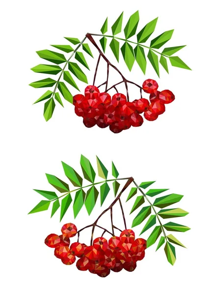 Polygon picture  autumn berries — Stock Vector