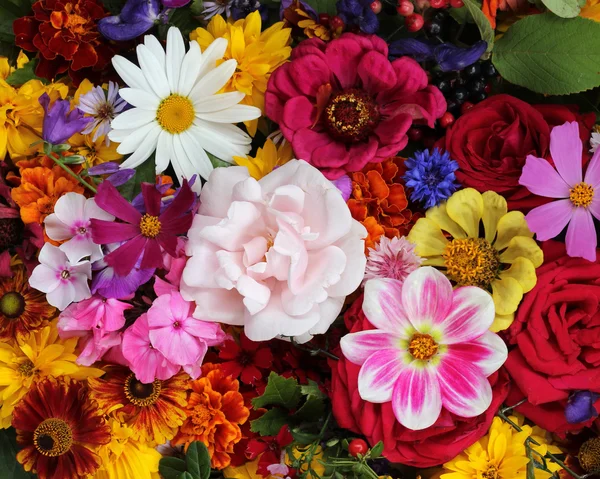 Bellissimo sfondo floreale di fiori da giardino . — Foto Stock