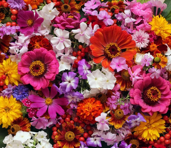 Prachtige florale achtergrond van tuin bloemen. — Stockfoto