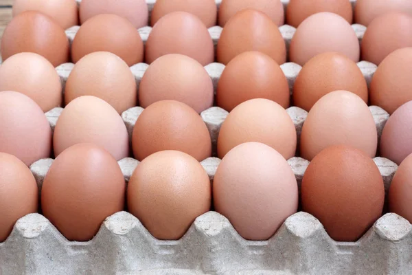 Tavuk kahverengi yumurta paket, üstten görünüm.