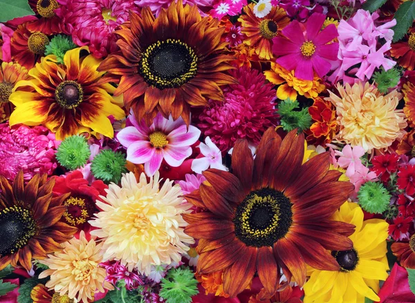 Antecedentes de flores cultivadas. Hermoso fondo floral . — Foto de Stock