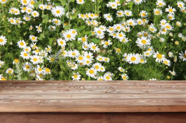 Papatyalar bir arka plan üzerinde boş ahşap masa.