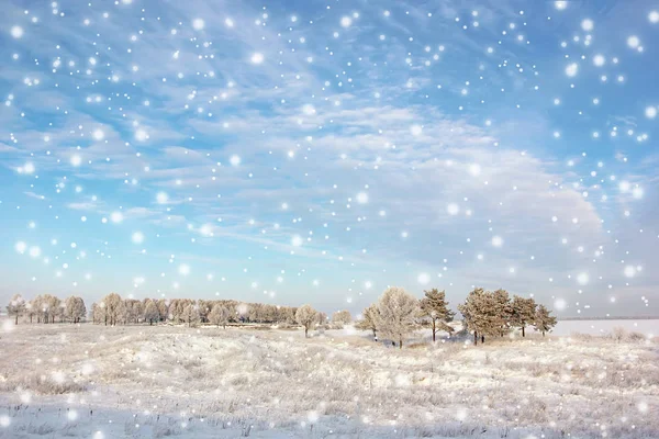 Winterlandschaft mit Bäumen und fallendem Schnee. — Stockfoto