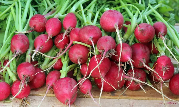 Fresh radishes with tops close up. — Stock Photo, Image