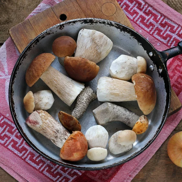 Pilze in der Pfanne, Draufsicht. — Stockfoto