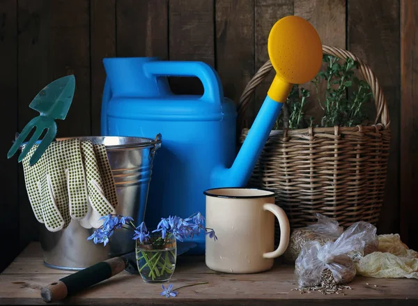 Natureza morta com equipamento de jardim e flores . — Fotografia de Stock