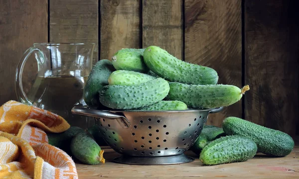 Castraveți proaspeți într-un colander pe masă . — Fotografie, imagine de stoc