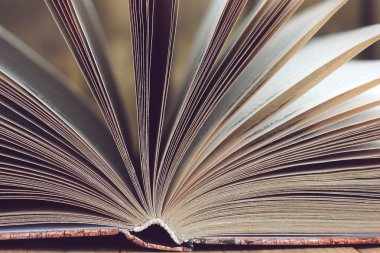 Açık kitap portre. 