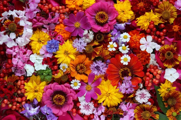 Kolorowe tło, kwiaty, widok z góry. — Zdjęcie stockowe