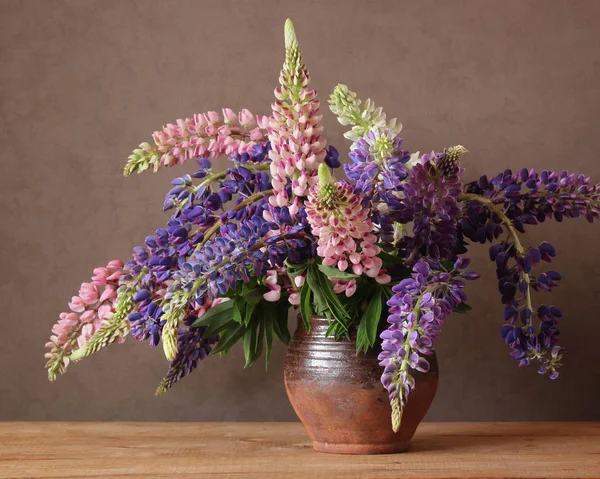 Stillleben mit Lupinen. — Stockfoto