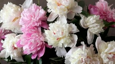 buket peonies ve şeftali. 